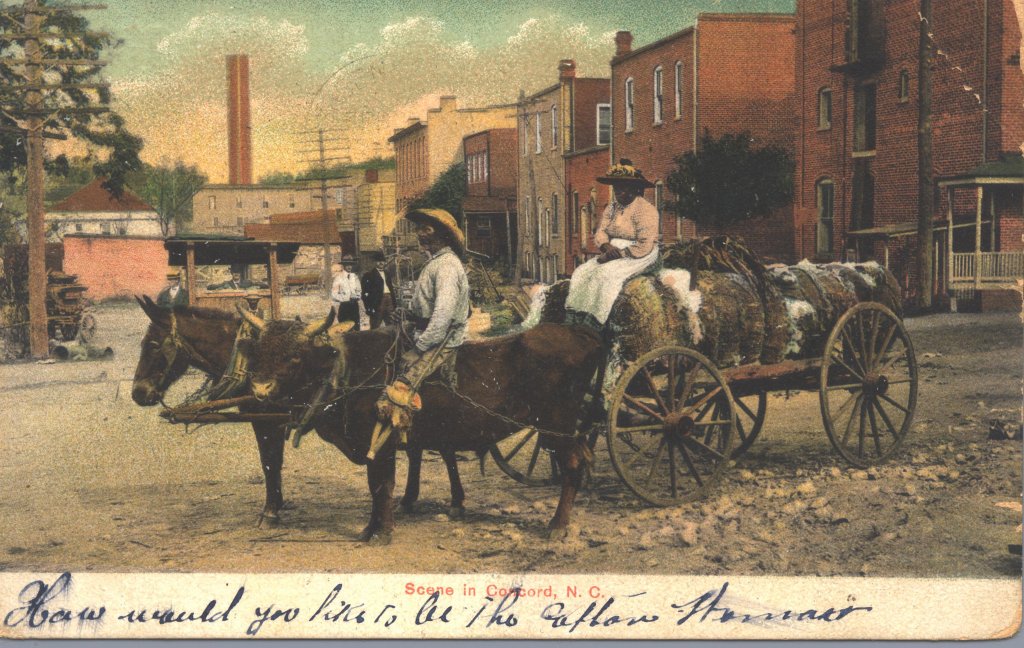 man woman livestock in town color illustration disability history america